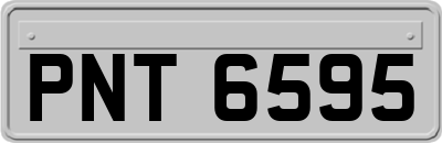 PNT6595