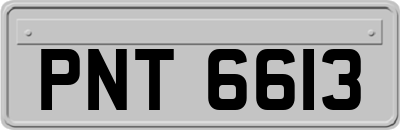 PNT6613