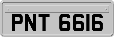 PNT6616