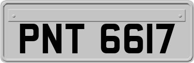 PNT6617