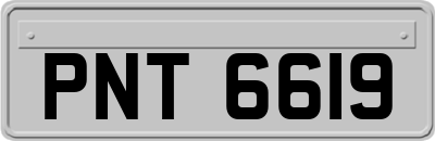PNT6619