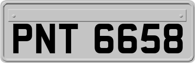 PNT6658
