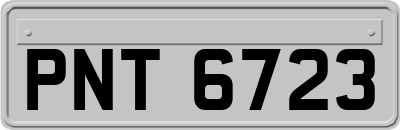 PNT6723