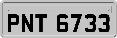 PNT6733