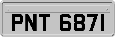 PNT6871