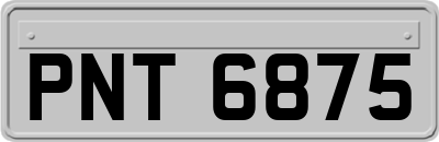 PNT6875