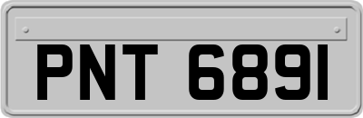 PNT6891