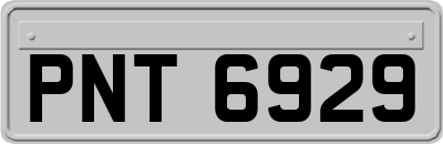PNT6929
