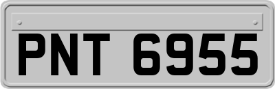 PNT6955