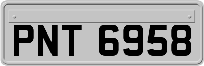 PNT6958
