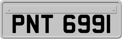 PNT6991