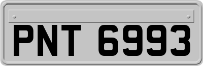 PNT6993