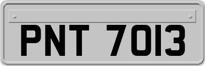 PNT7013