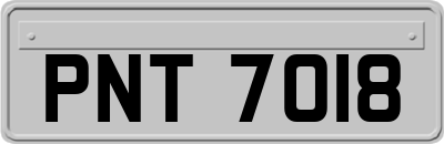 PNT7018