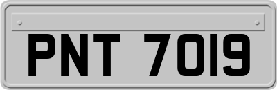 PNT7019