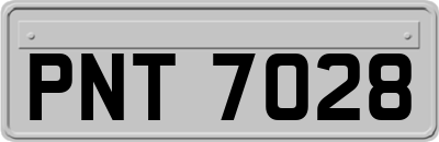 PNT7028