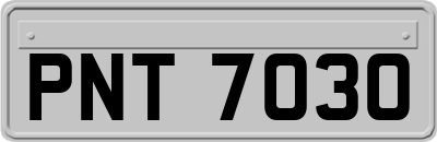 PNT7030