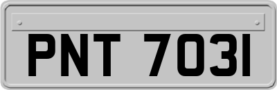 PNT7031