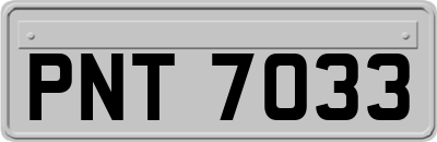 PNT7033