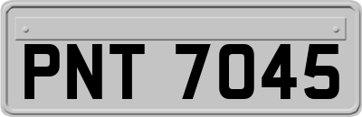 PNT7045