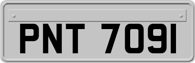 PNT7091