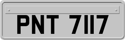 PNT7117