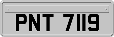 PNT7119