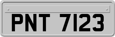 PNT7123
