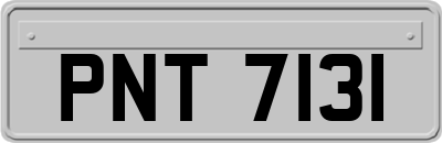 PNT7131