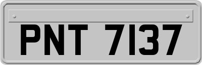 PNT7137