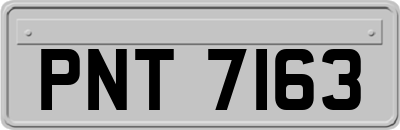 PNT7163