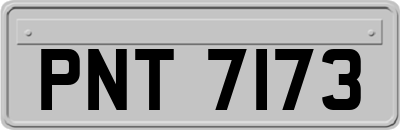 PNT7173