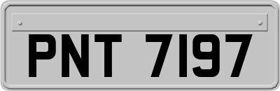 PNT7197