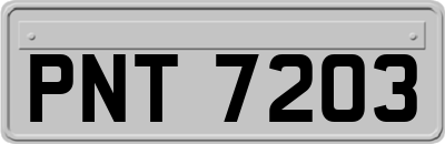 PNT7203