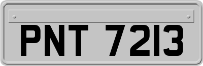 PNT7213