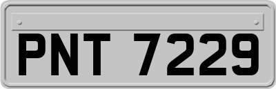 PNT7229