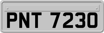 PNT7230