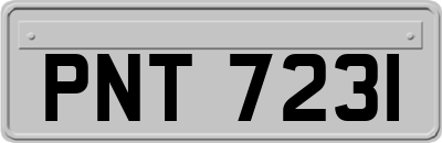 PNT7231