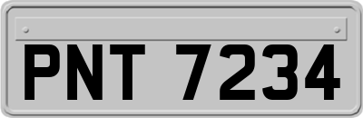PNT7234