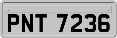 PNT7236