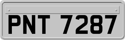 PNT7287