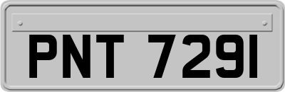 PNT7291