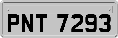 PNT7293