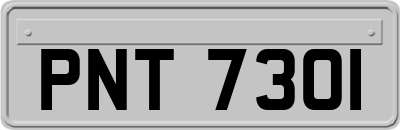 PNT7301