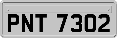 PNT7302