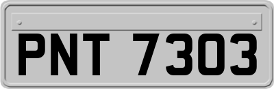 PNT7303