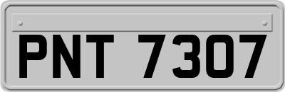 PNT7307