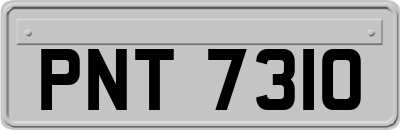 PNT7310