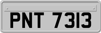 PNT7313