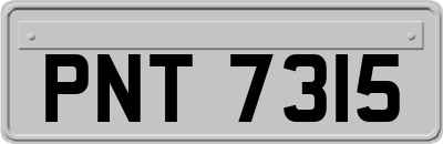 PNT7315